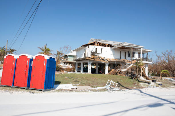 Parker, CO Tree Removal Company